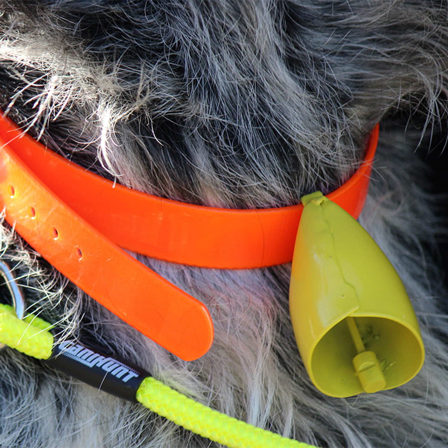 Accessoires et équipements pour les chiens de chasse courants et d'arrêt