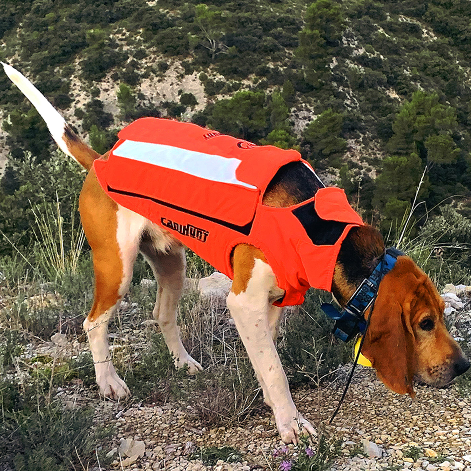 Gilet de protection Canihunt Dog Armor V2 - Le-Chasseur